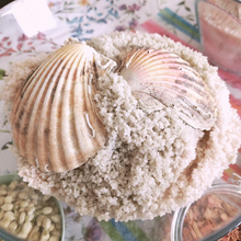 Load image into Gallery viewer, 🦭🧜🏻♀️🐟SELKIE RETREAT🐟🧜🏻♀️🦭
 with all payment options