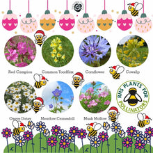 Load image into Gallery viewer, Seedballs in a mini box