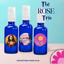 Load image into Gallery viewer, Trio Bundles