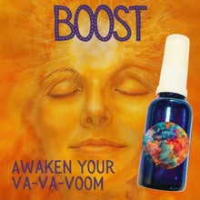 Load image into Gallery viewer, CHAKRA COLLECTION