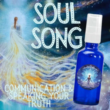 Load image into Gallery viewer, CHAKRA COLLECTION