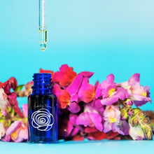 Load image into Gallery viewer, Pop Up Apothecary