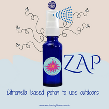 Load image into Gallery viewer, ZAP - Insects Away Spray