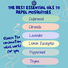 Load image into Gallery viewer, ZAP - Insects Away Spray