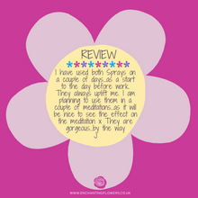 Load image into Gallery viewer, CHAKRA COLLECTION