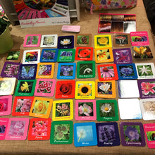 Load image into Gallery viewer, FLOWER WISDOM Oracle Cards
