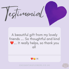 Load image into Gallery viewer, Angel Aura Spray