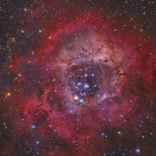 Load image into Gallery viewer, COSMIC ROSE