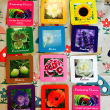 Load image into Gallery viewer, FLOWER WISDOM Oracle Cards