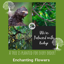 Load image into Gallery viewer, AVEBURY BEECH