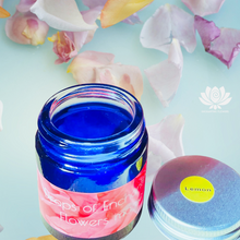 Load image into Gallery viewer, Smell Training Kit