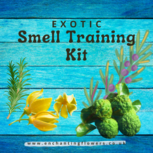 Load image into Gallery viewer, Smell Training Kit