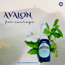 Load image into Gallery viewer, AVALON-a mystical blend with echoes of ancient times