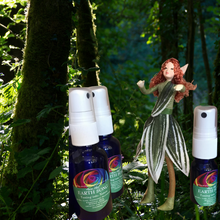 Load image into Gallery viewer, EARTH SONG - Tuning back into Nature