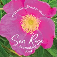 Load image into Gallery viewer, SEA ROSE 🌹