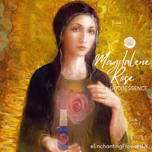 Load image into Gallery viewer, Magdalene Rose - 🌹 Devotion, grace and beautiful equilibrium🌹