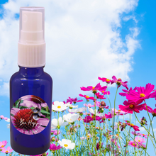 Load image into Gallery viewer, Aroma Spray 30ml