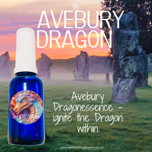 Load image into Gallery viewer, AVEBURY DRAGON - Invoking Earth Dragon energy
