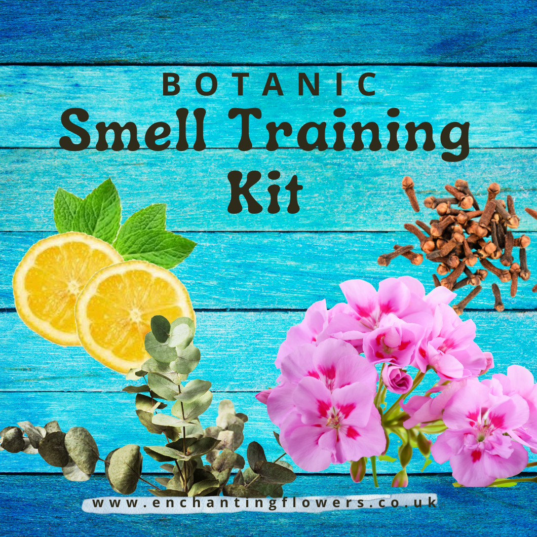 Smell Training Kit