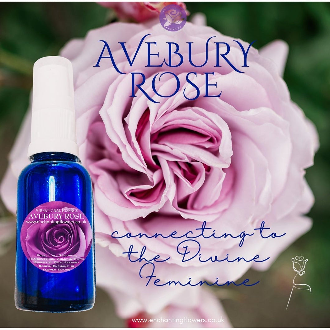 AVEBURY ROSE-Sacred floral whispers from Avebury roses